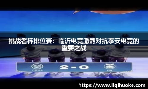 DG视讯